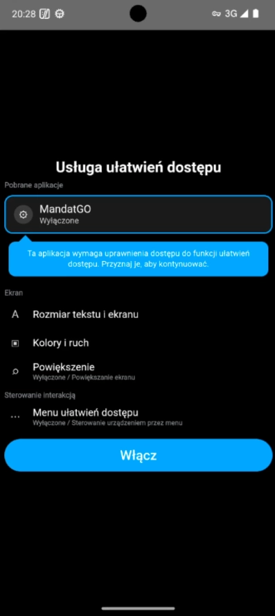 Ekran włączający usługi dostępności (Accessibility Services).